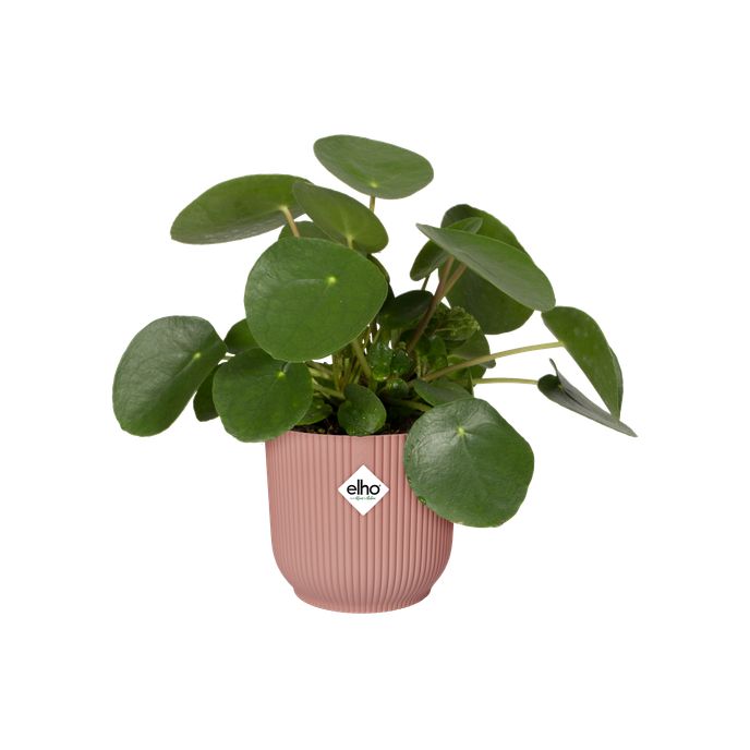 vibes fold rond 16cm delicaat roze